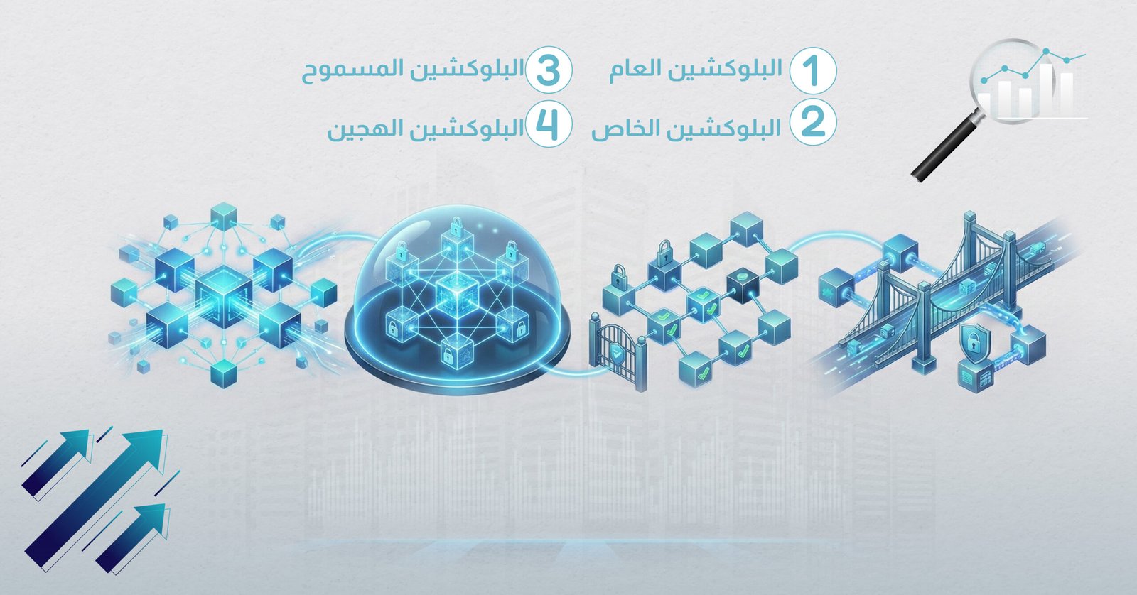 أنواع البلوكشين